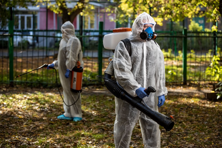 Дезинсекция в Новосибирске
